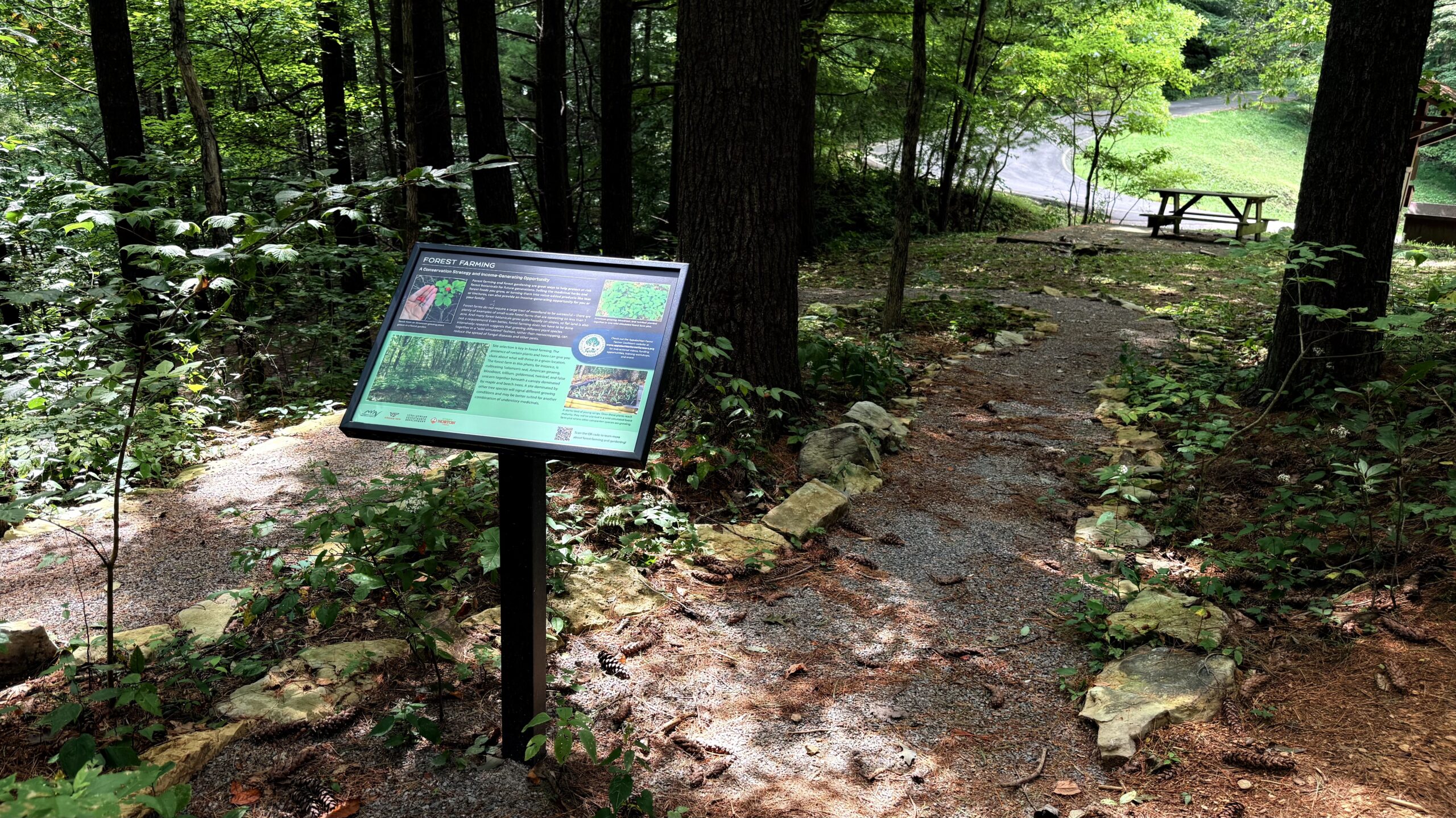 An interpretive sign with a trail, trees, and understory plants in a forest garden.